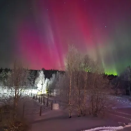 Ainola Arctic Hillside Rovaniemi