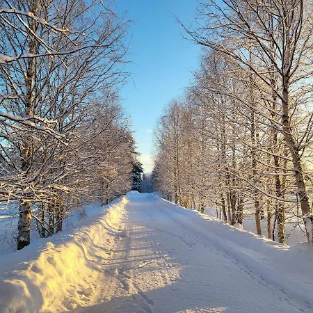 Apartment Ainola Arctic Hillside *