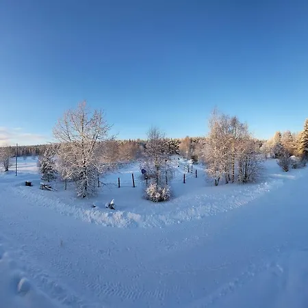 Ainola Arctic Hillside Apartment Rovaniemi