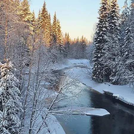 Ainola Arctic Hillside *