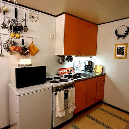 Ainola Arctic Hillside Apartment *