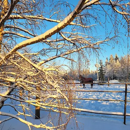 Ainola Arctic Hillside Apartman Rovaniemi