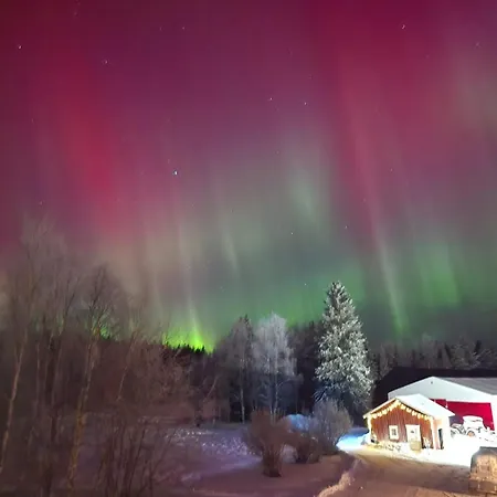 Ainola Arctic Hillside *