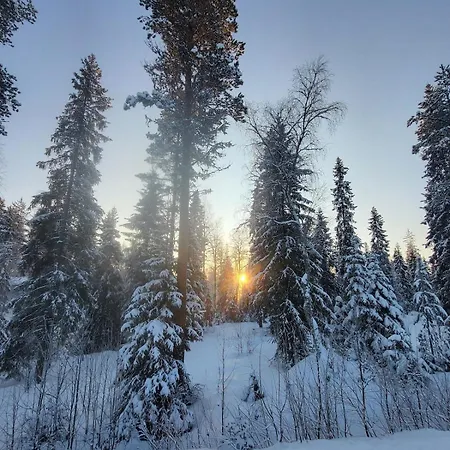 Ainola Arctic Hillside