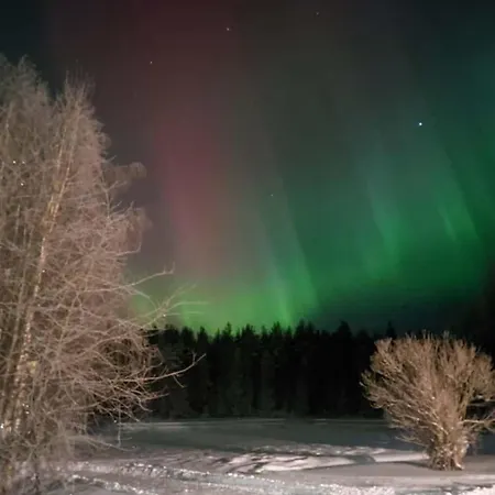 Apartment Ainola Arctic Hillside *