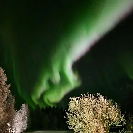 Ainola Arctic Hillside * Rovaniemi