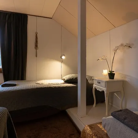 Ainola Arctic Hillside *