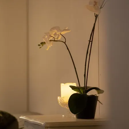 Apartamento Ainola Arctic Hillside *
