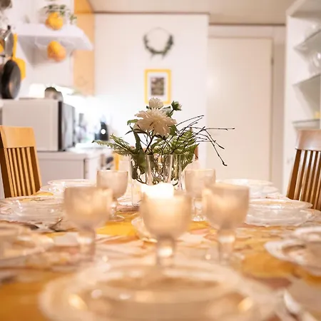 Ainola Arctic Hillside Apartment *