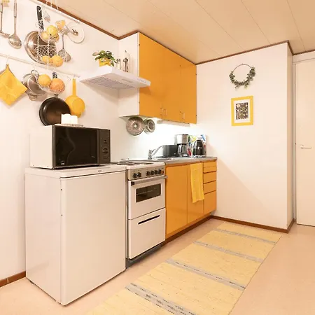 Ainola Arctic Hillside Apartman *