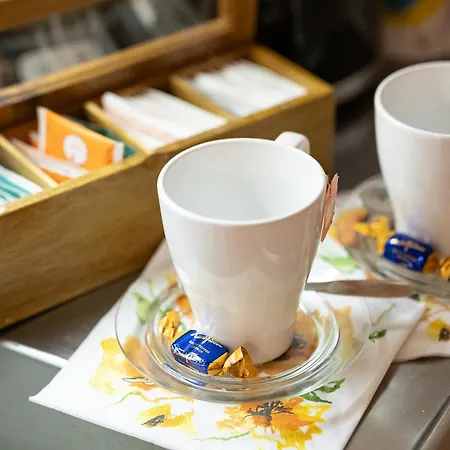 Ainola Arctic Hillside *