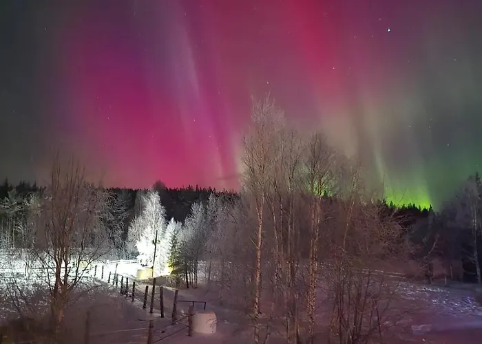 Ainola Arctic Hillside Rovaniemi