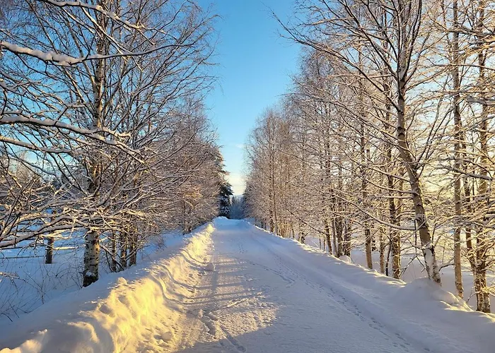 Apartamento Ainola Arctic Hillside *