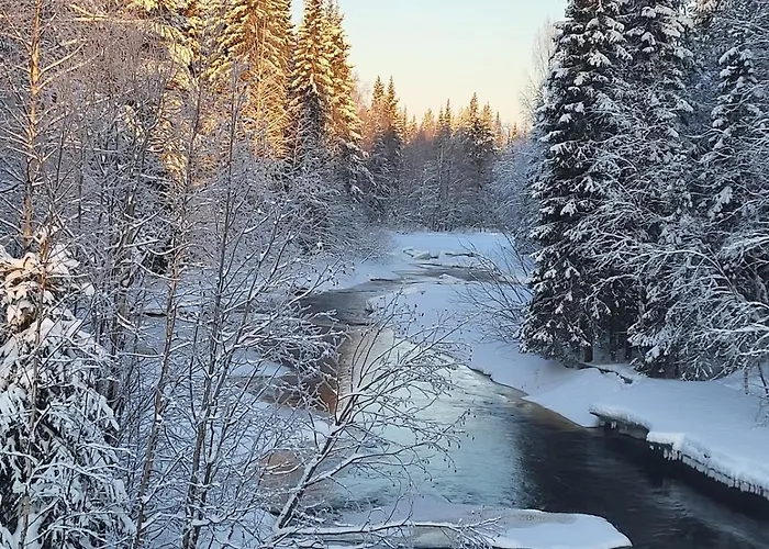 Ainola Arctic Hillside *