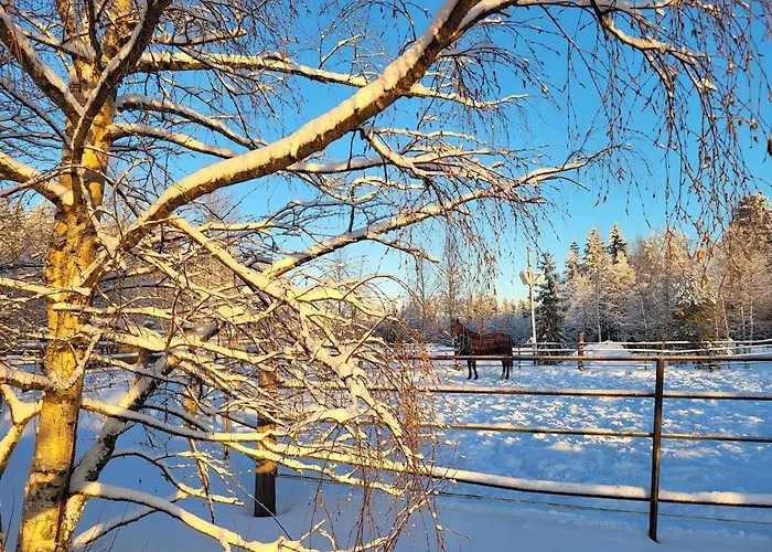 Ainola Arctic Hillside Apartamento Rovaniemi