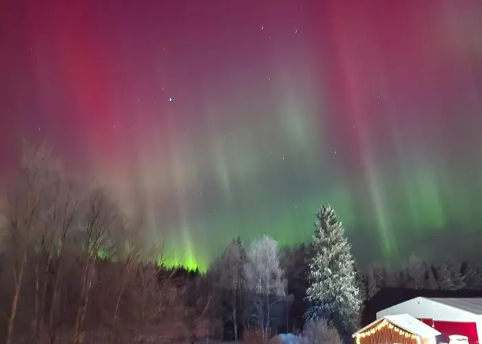 Ainola Arctic Hillside *