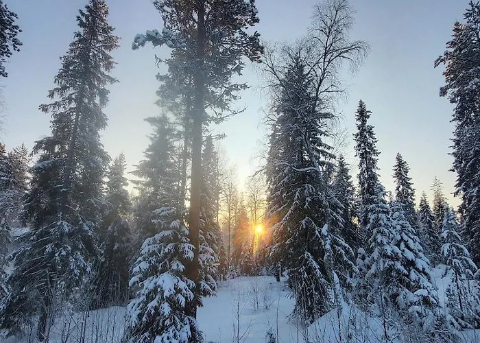 Ainola Arctic Hillside