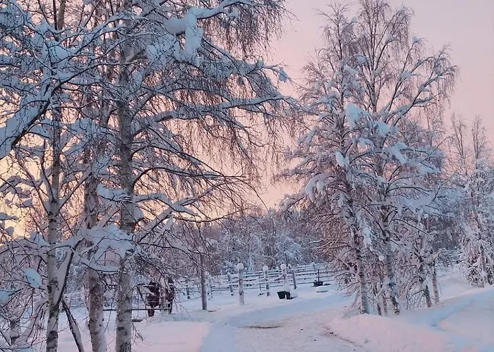 Apartamento Ainola Arctic Hillside *