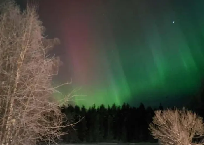 Apartamento Ainola Arctic Hillside *