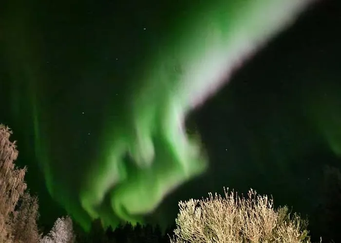 Ainola Arctic Hillside * Rovaniemi