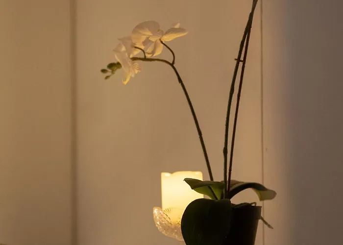 Apartamento Ainola Arctic Hillside *