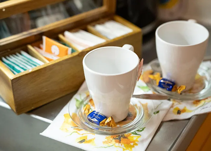 Ainola Arctic Hillside *